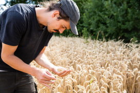 Landwirtschaft und Ernährung – zwei Seiten einer Medaille
